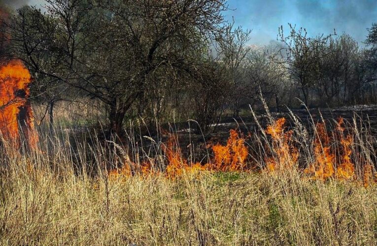 Пожежа сухостою на Львівщині: згоріло 11 дачних будинків