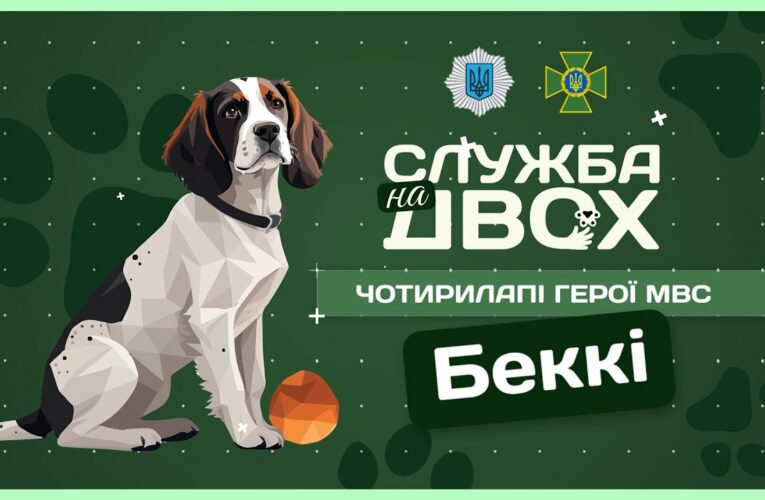 🐶 Беккі – носик, що виявляє вибухівку на кордоні | Служба на двох