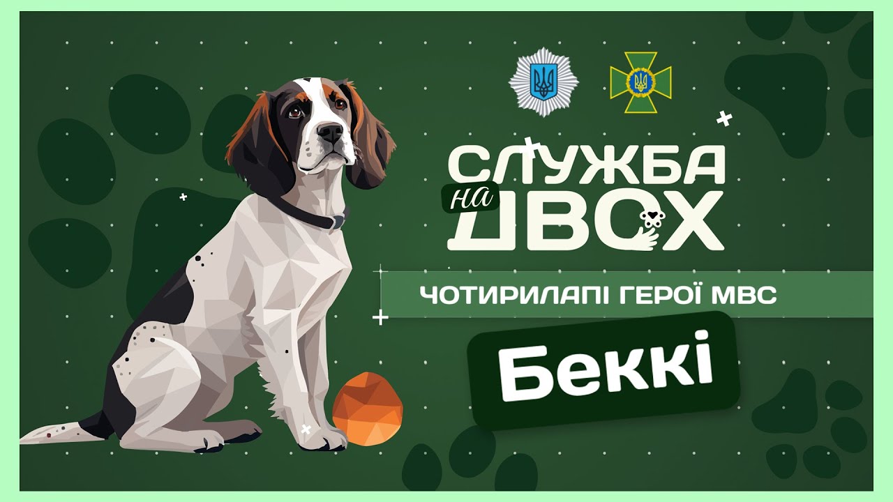 🐶 Беккі - носик, що виявляє вибухівку на кордоні | Служба на двох