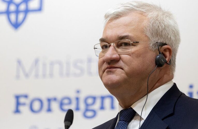 Сибіга розповів про долю Рамштайну без США