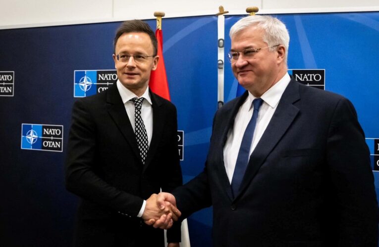 Сибіга розповів про переговори з Сіярто у Брюсселі