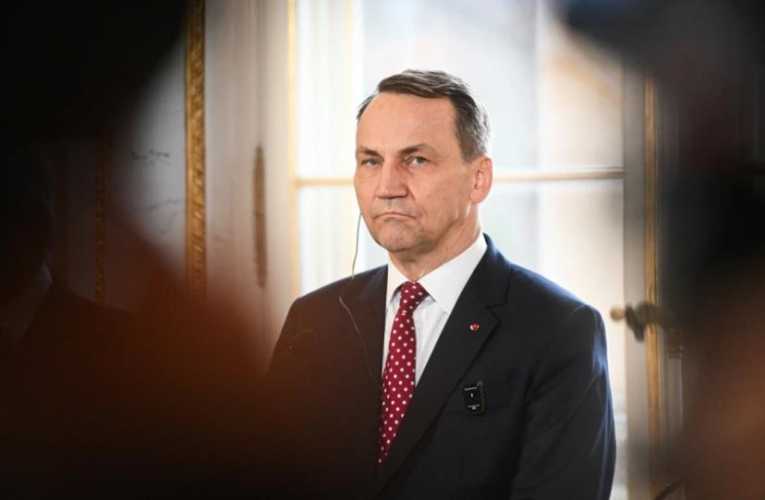 Сікорський висловився про позицію Угорщини щодо України