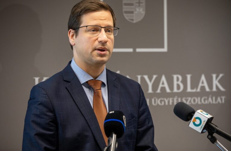 Спалах ящуру в Угорщині: Будапешт не відкидає “штучне створення” вірусу