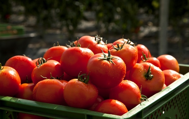 Новини світу - США запровадять 21% мита на томати з Мексики