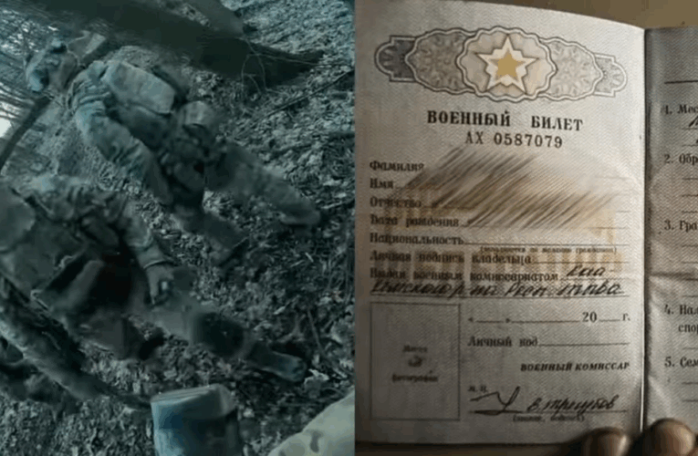 ССО знищили взвод корейців на Курщині