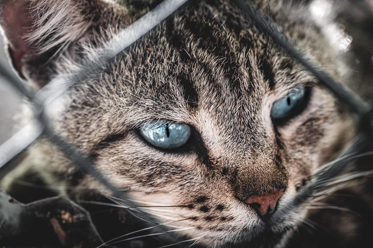 Новини культури - Свята 10 квітня 2025 року: що не можна робити в цей день