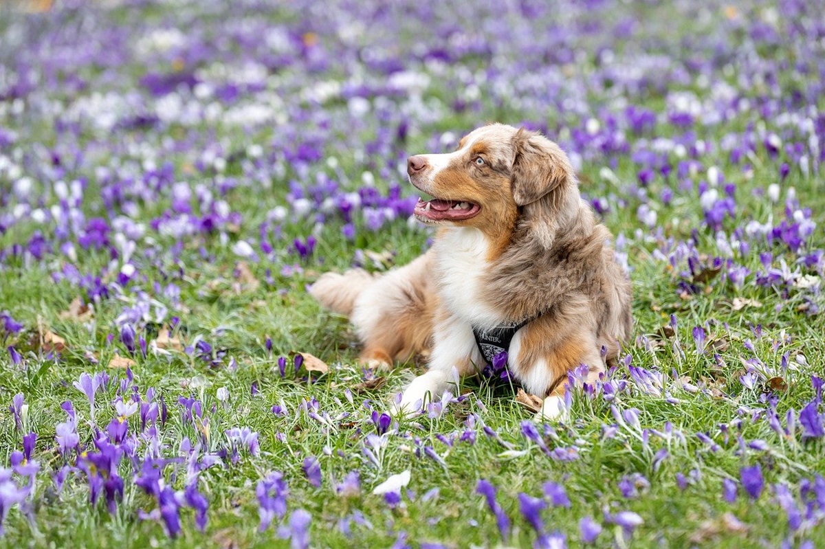 Новини культури - Свята 15 квітня 2025 року: іменини, прикмети