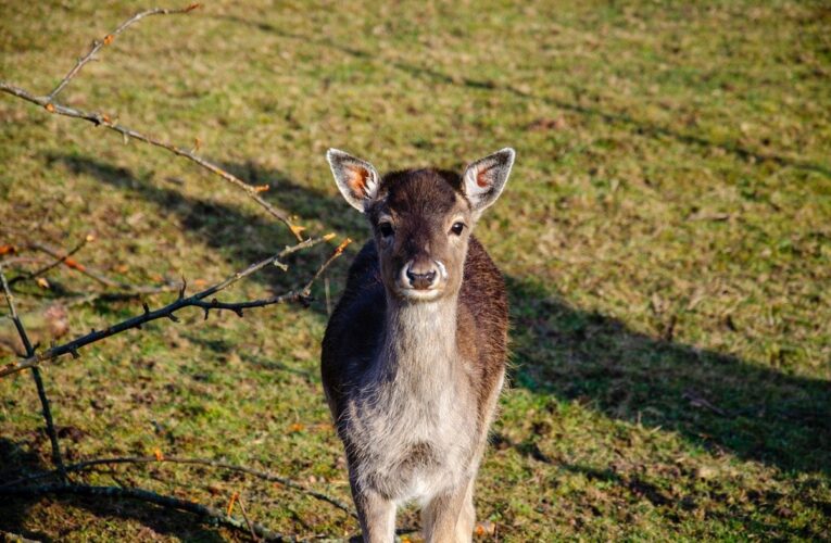 Свята 28 квітня 2025 року: що не можна робити в цей день