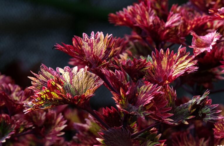 Свята 7 квітня 2025 року: іменини, прикмети