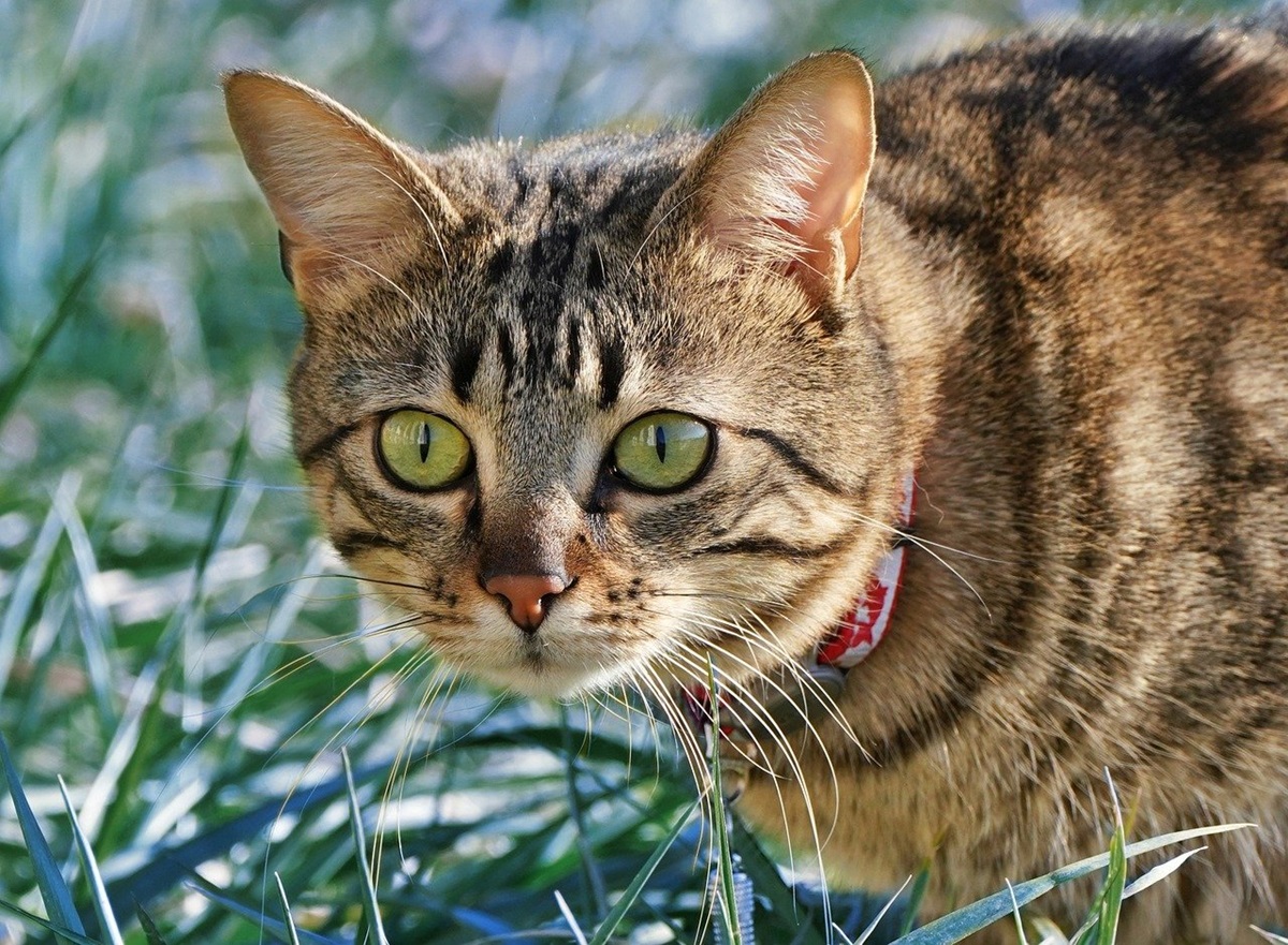 Новини культури - Свята 9 квітня 2025 року: іменини, прикмети