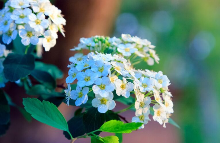 Тепло і грози: прогноз погоди на 22-23 квітня