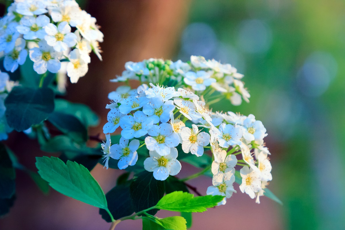 Новини України - Тепло і грози: прогноз погоди на 22-23 квітня