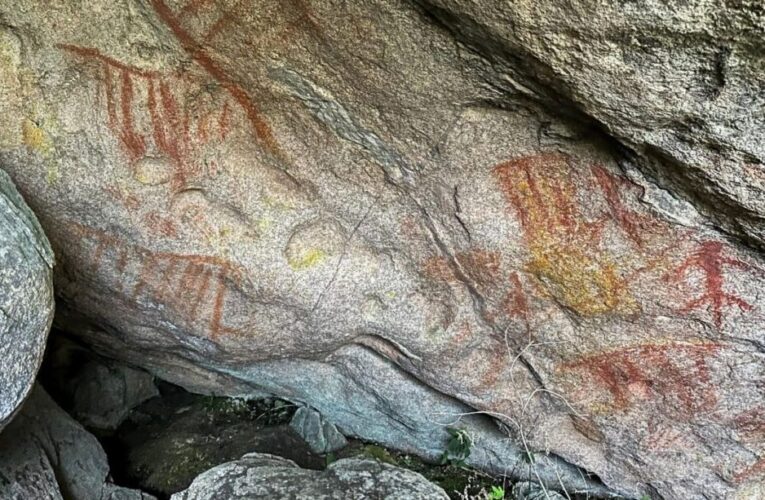 У Бразилії випадково знайшли 3000-річні наскельні малюнки