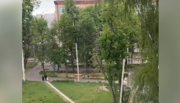 У Харкові та Сумах пішов сніг