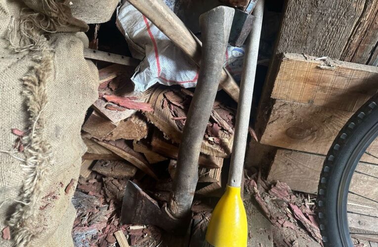 У Росії жінка зарубала сокирою трьох своїх дітей