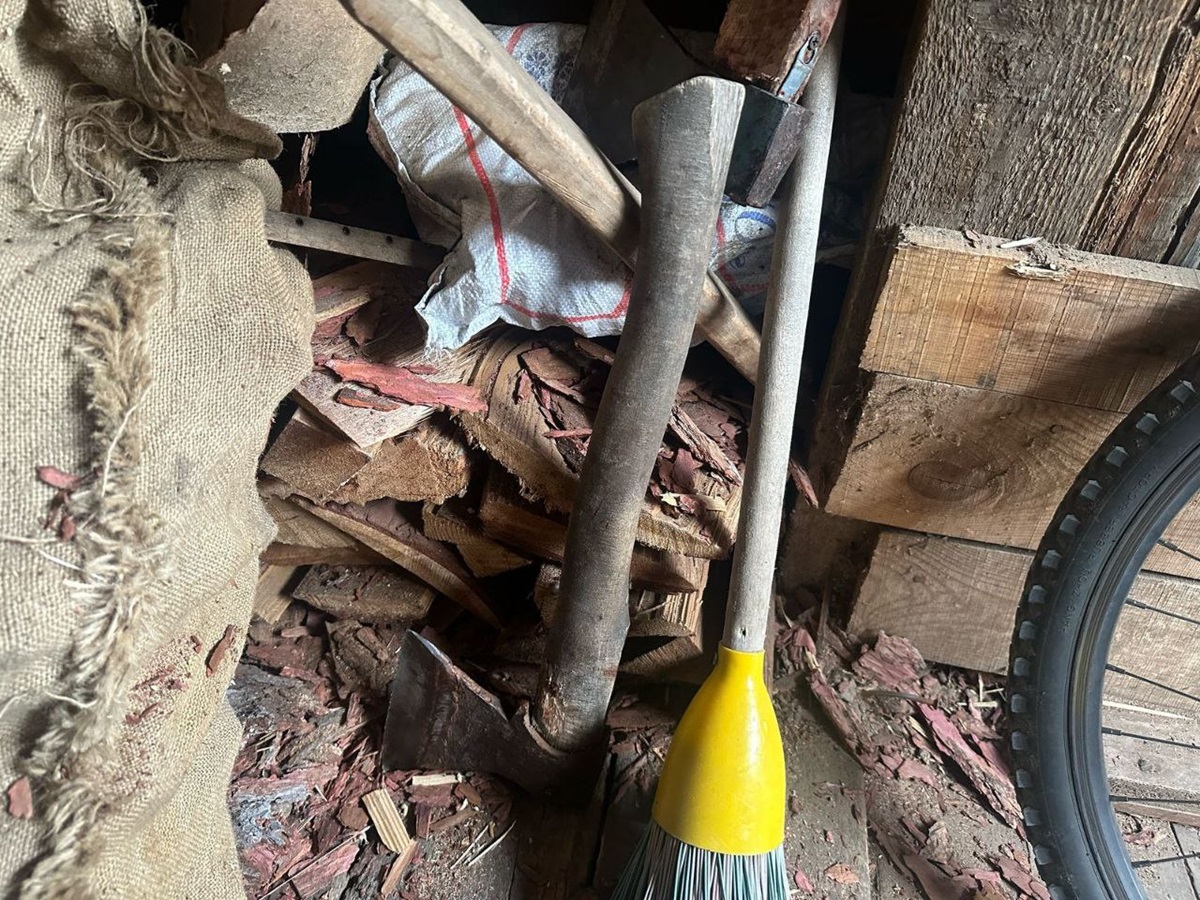 Новини світу - У Росії жінка зарубала сокирою трьох своїх дітей