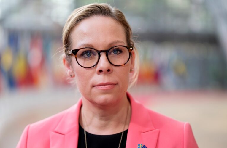 Удар по Сумах: МЗС Швеції викликало посла РФ