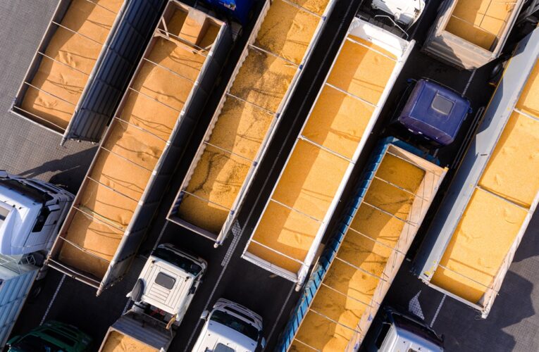 Україна суттєво скоротила експорт зерна