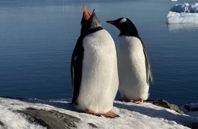 Українські полярники тріумфували на міжнародному фотоконкурсі