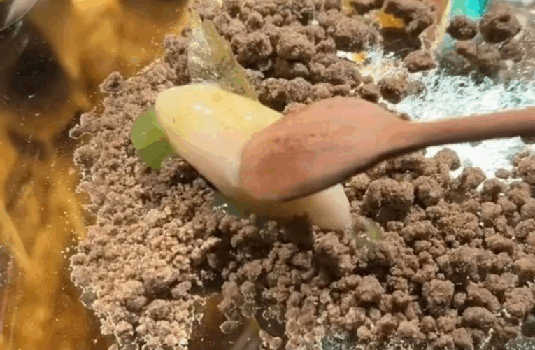 В елітному ресторані Китаю продають десерт із фекалій слона