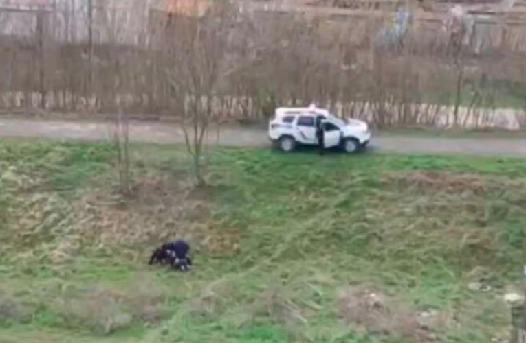 В Івано-Франківську чоловік вкусив працівника ТЦК за поранену ногу