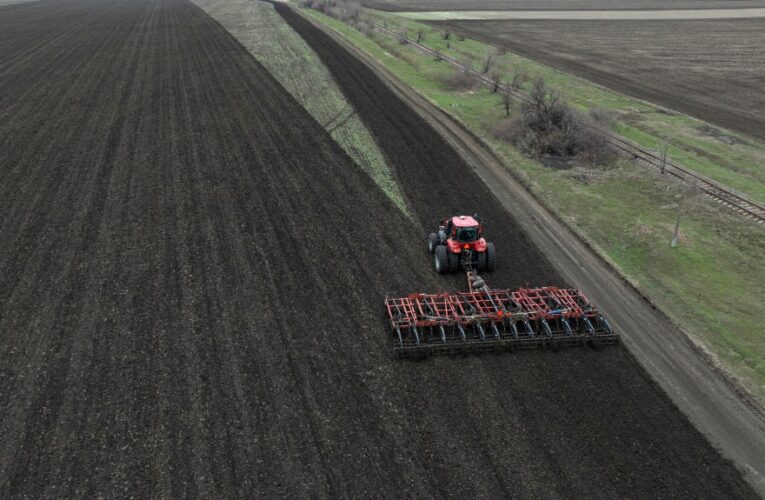 В Україні розпочали сівбу соняшнику
