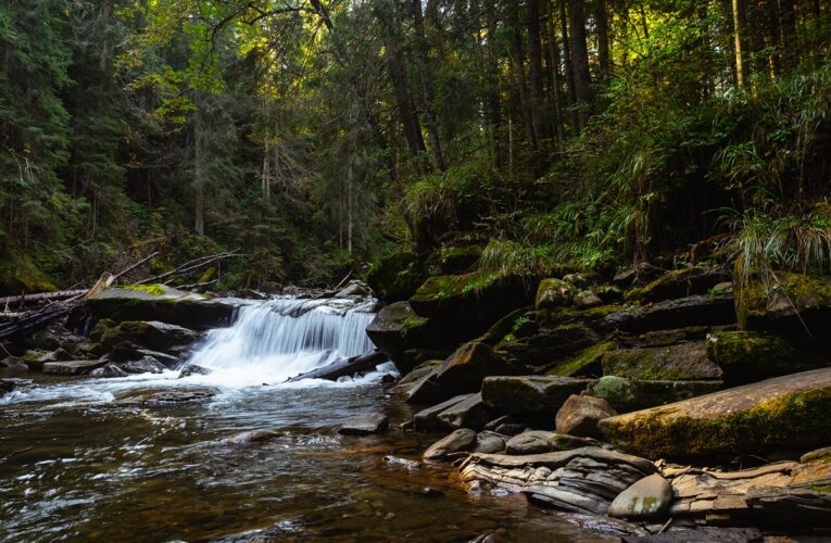 В Україні збільшать штрафи за шкоду заповідникам у 50 разів