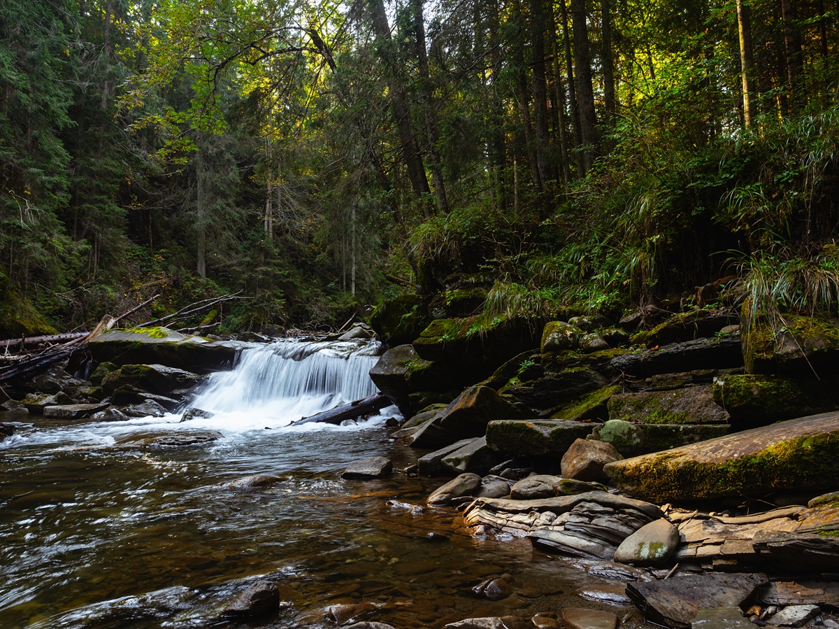 Новини України - В Україні збільшать штрафи за шкоду заповідникам у 50 разів