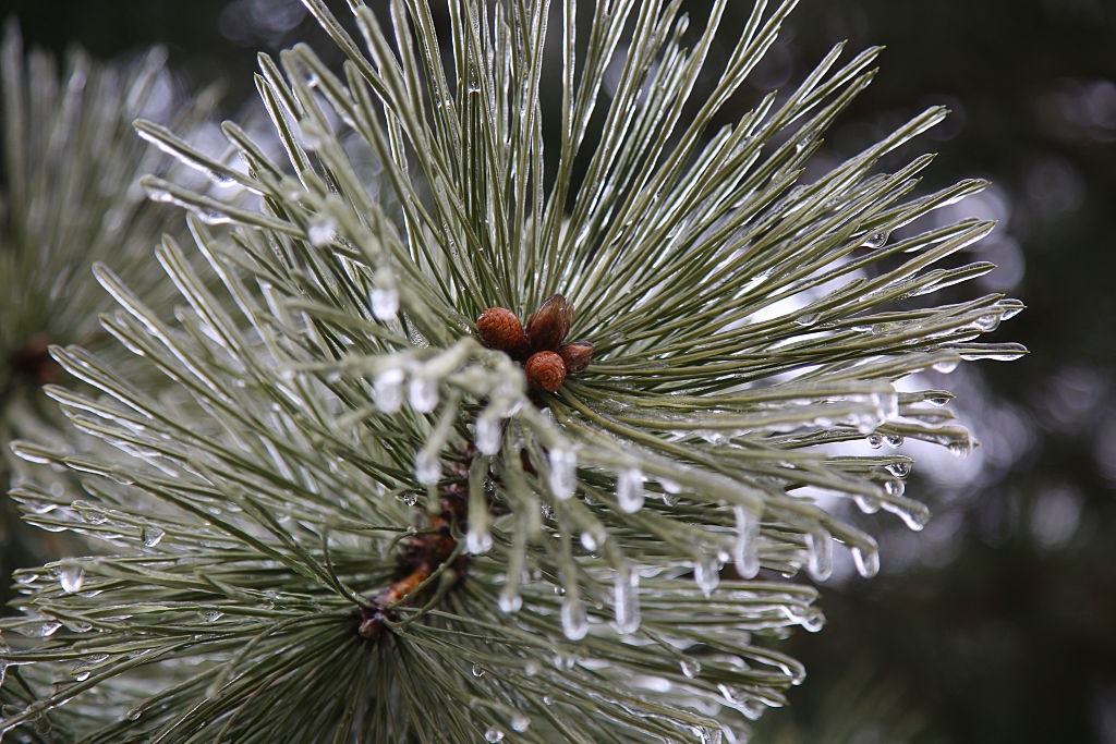 Новини України - В Україну насуваються заморозки та мокрий сніг