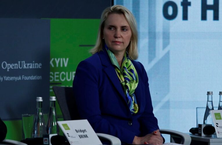 Відставка Брінк. В Україні буде новий посол США