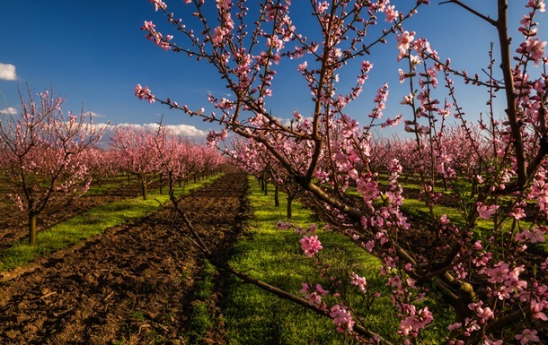 Вихідні в Україні будуть теплими та сонячними
