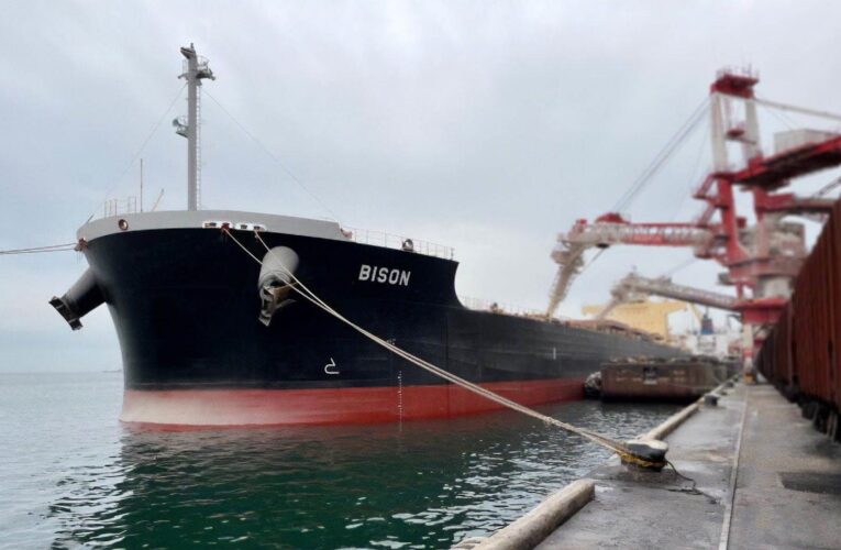 З США прибув перший корабель з металургійним вугіллям для Метінвесту