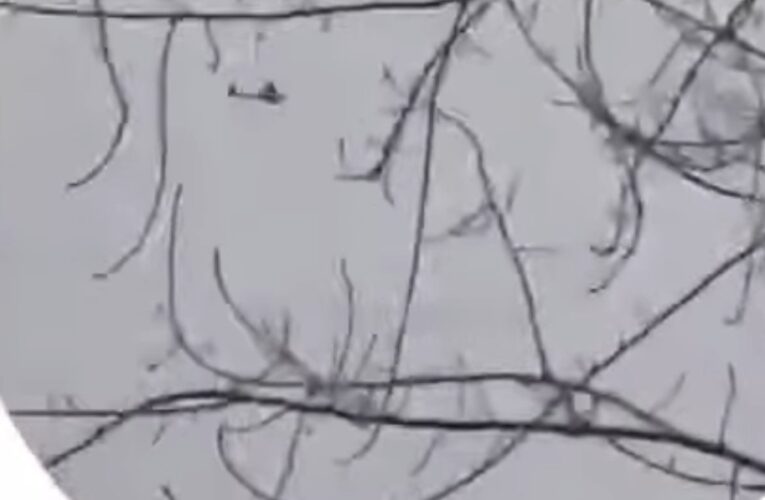 Завод дронів в РФ атакували безпілотники – ЦПД