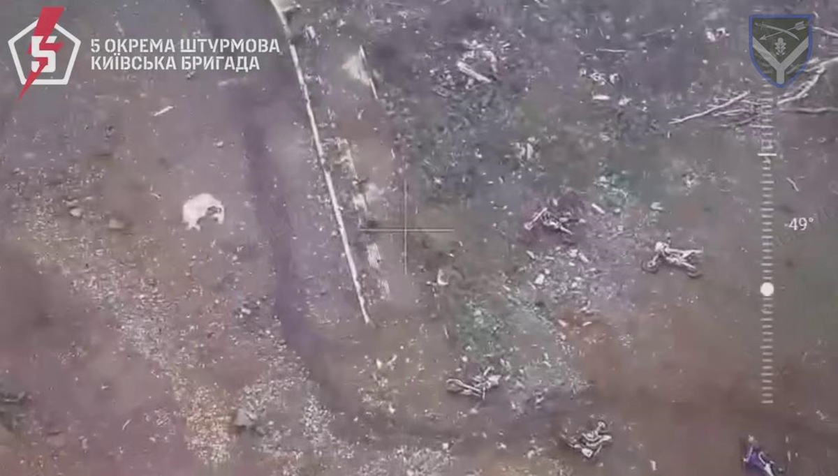 Новини України - ЗСУ розбили мотозагін росіян на Донеччині