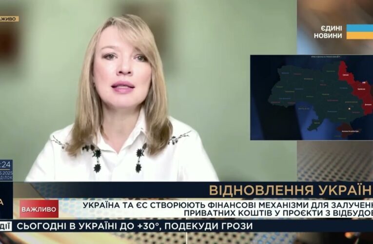 Відбудова України: Як залучатимуть приватні інвестиції з ЄС | Олена Шуляк