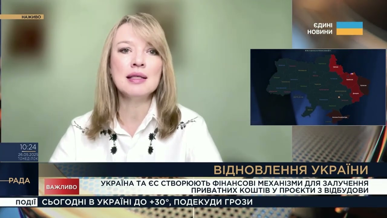 Відбудова України: Як залучатимуть приватні інвестиції з ЄС | Олена Шуляк
