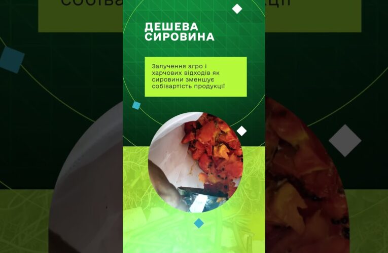 Навігатор із формування пропозиції на продукцію чорної львинки та її реалізації на ринку