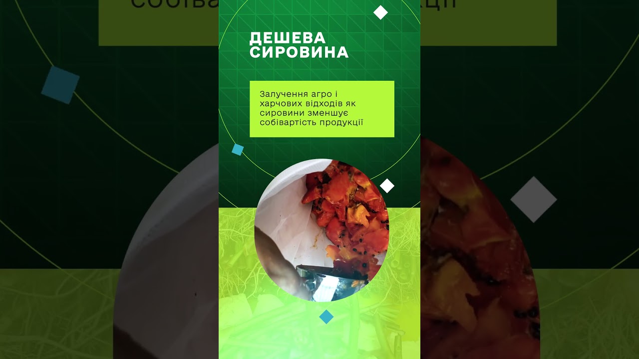 Навігатор із формування пропозиції на продукцію чорної львинки та її реалізації на ринку