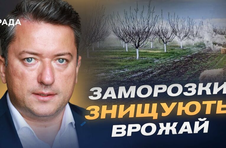 Заморозки ЗНИЩУЮТЬ врожай: що буде з цінами на фрукти та зерно?  | Дмитро Соломчук