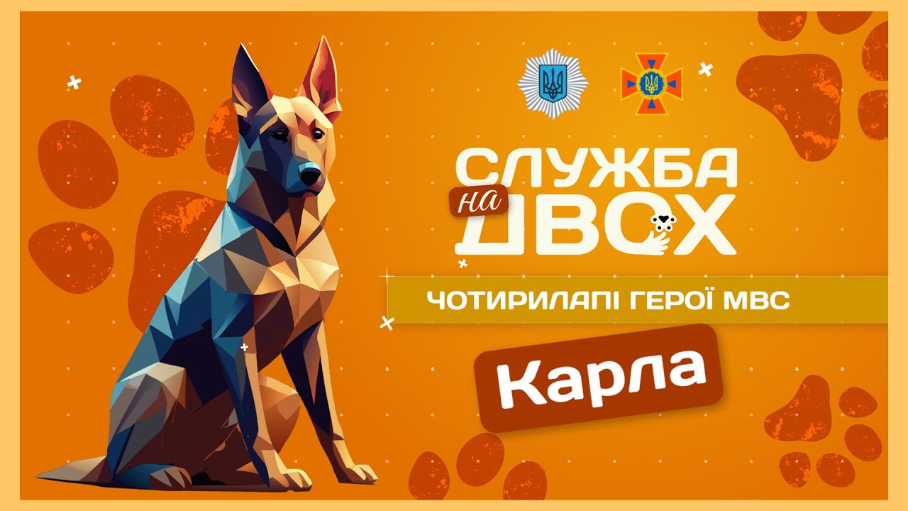 🐶 Карла - собака, що має ліричний характер і непросту місію | Служба на двох