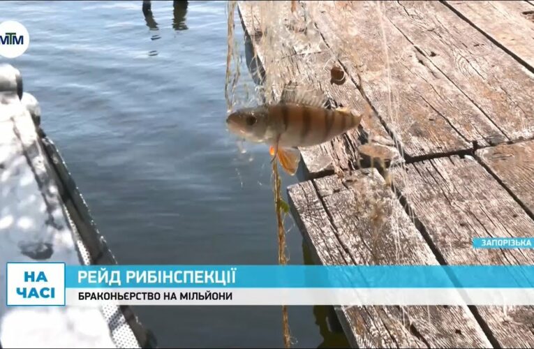 Як запорізьку рибу рятують від браконьєрів