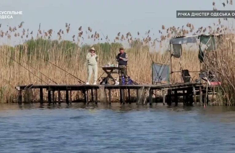 Як рибалити під час нерестової заборони, щоб не порушувати правила