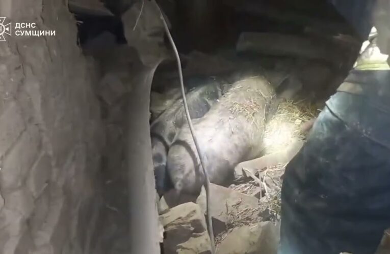 Ворожа атака по житловому сектору Сумщини призвела до загибелі та травмування мирного населення