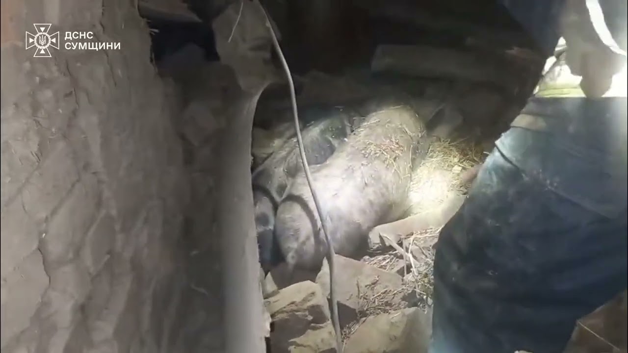 Ворожа атака по житловому сектору Сумщини призвела до загибелі та травмування мирного населення