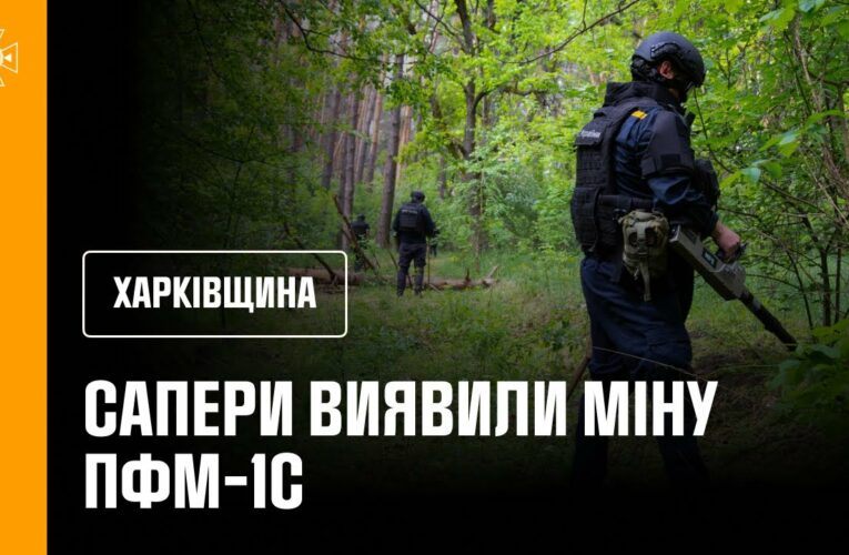 Сапери ДСНС розміновують ліси Ізюмщини: знайдено «пелюстку»