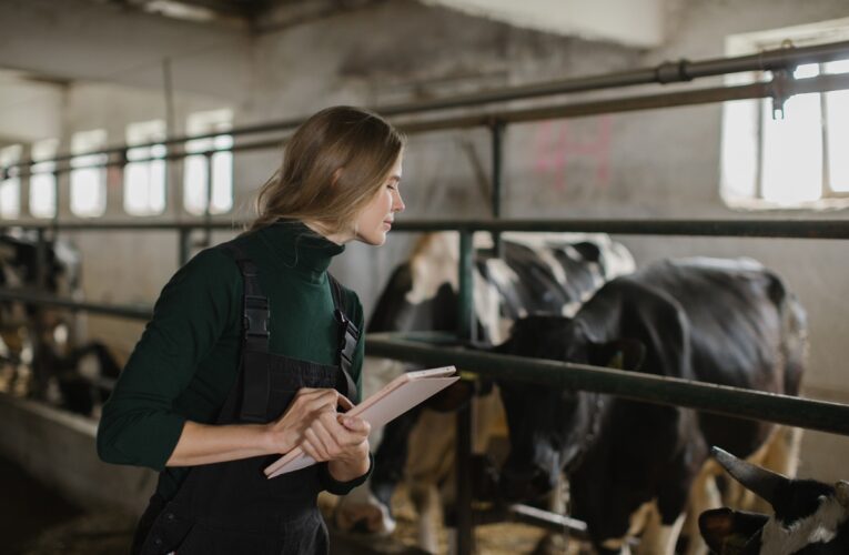 ФАО запускає дворічний план підтримки фермерів України на $150 млн