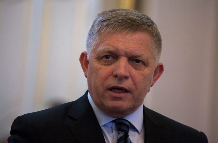 Фіцо поскаржився на ідею Мерца позбавити Словаччину виплат