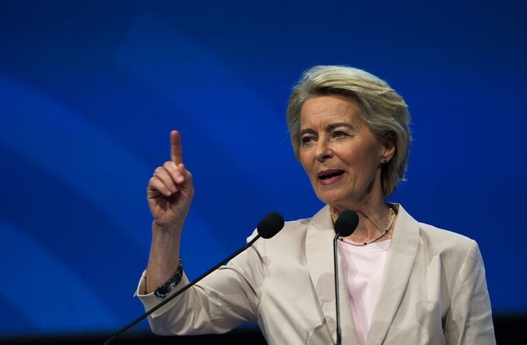 Фон дер Ляєн запропонувала “стратегію дикобраза” для України