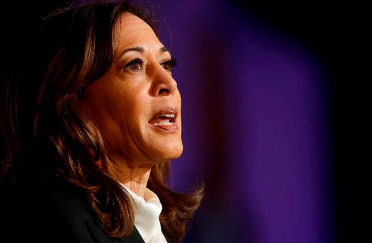 Гарріс вперше після виборів в США виступила з критикою Трампа