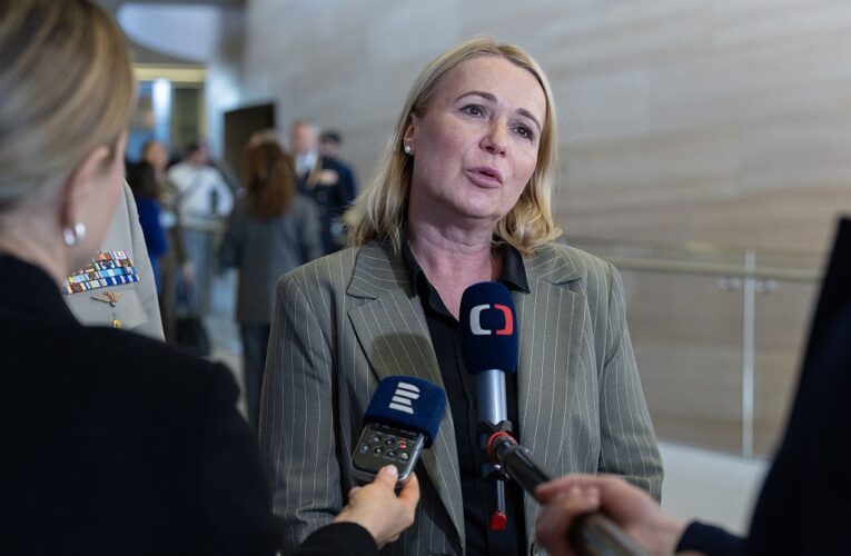 Глава Міноборони Чехія потрапила в аварію